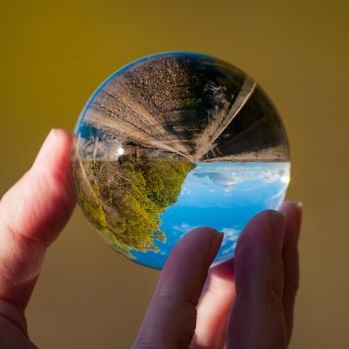 Update of ISO 9001, ISO 14001, ISO 27001, ISO 50001, ISO 45001 Management Systems Certification Standards Due to Climate Change
