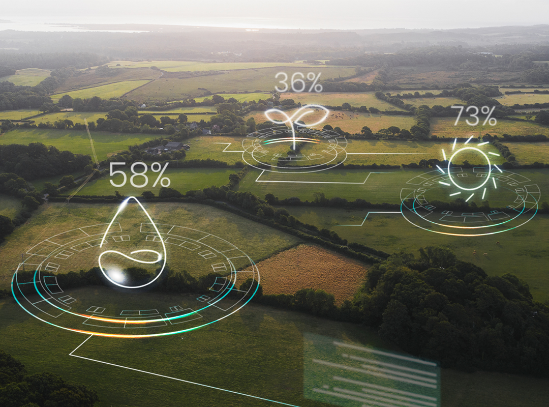 Karbon Ayak İzi Doğrulama